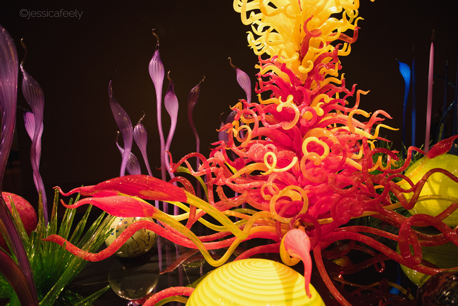 Chihuly Garden Glass Tour Seattle Healthy Happy